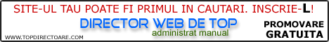 Director Web de Top